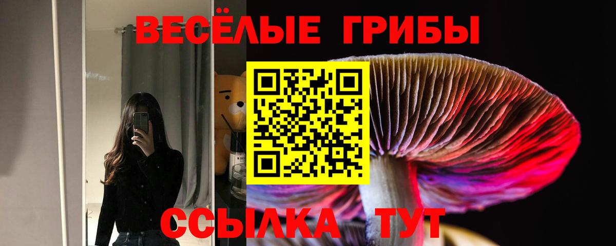 Галлюциногенные грибы MAGIC MUSHROOMS  Вход с VPN  Псилоцибиновые грибы мухоморы  Топки 